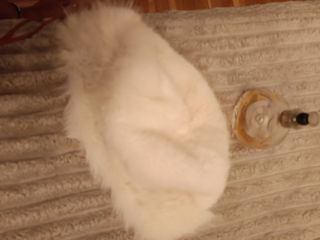 Gorro Ruso Blanco