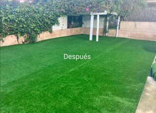 Jardinero profesional