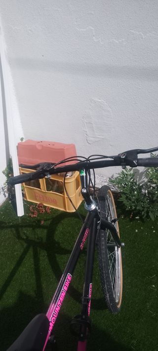 Bicicleta rosa