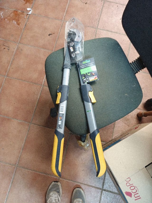 Cortasetos telescópico Florabest