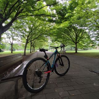 Bicicleta Specialized Stunt 29