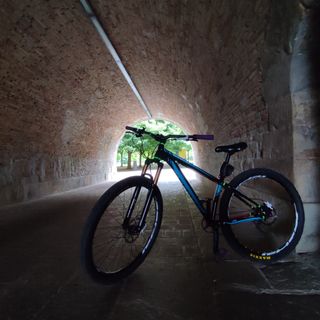Bicicleta Specialized Stunt 29