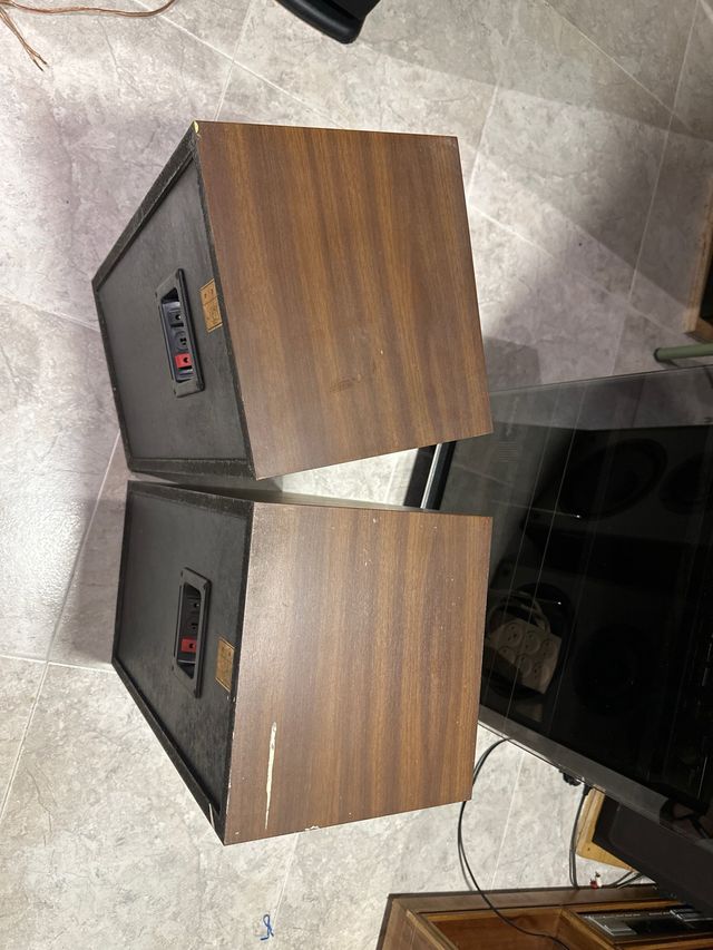 Altavoces Rotel para reparar