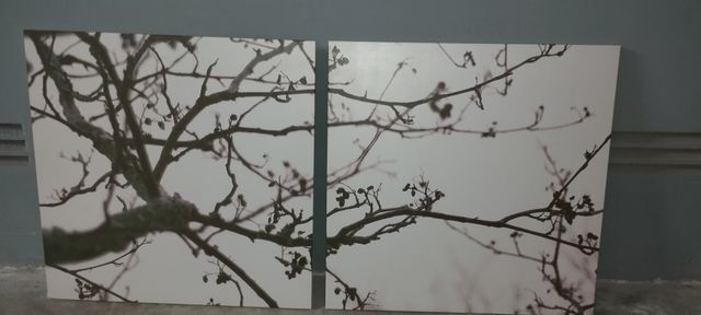 Cuadros decorativos árbol ramas