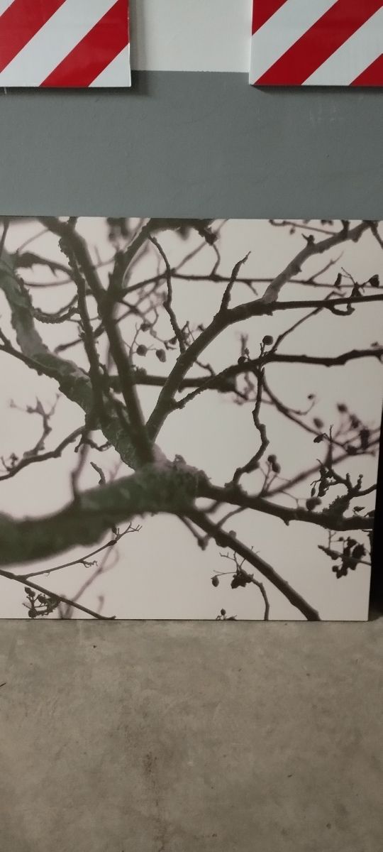 Cuadros decorativos árbol ramas