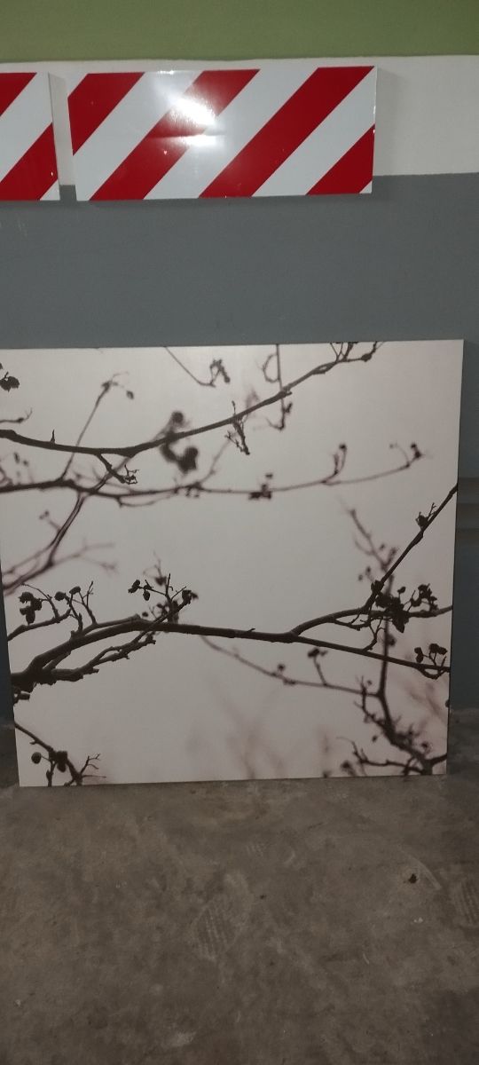 Cuadros decorativos árbol ramas