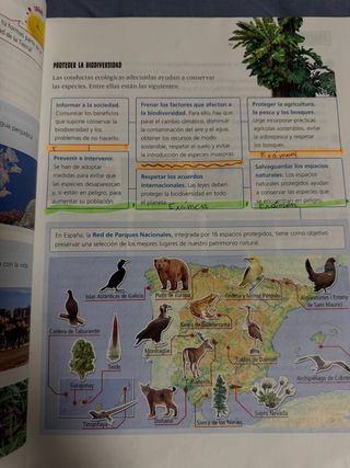 Libros Ciencias de la Naturaleza de Edelvives 4 EP