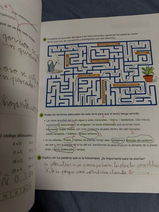 Libros Ciencias de la Naturaleza de Edelvives 4 EP