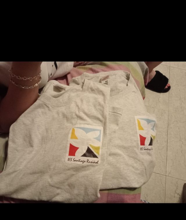 Camisetas IES Santiago Rusiñol grises