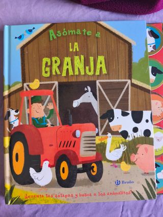 Puzzle y libros infantiles