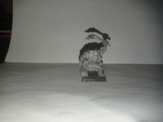 Orco Incursor con Cerdo