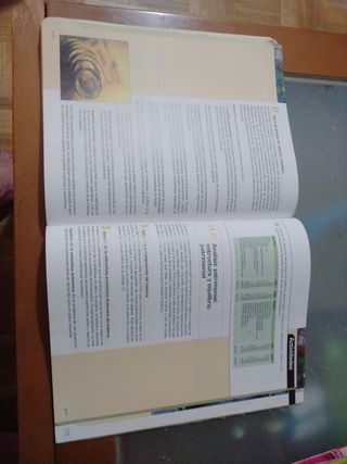 Economía y organización de empresas. 2.º Bachil...