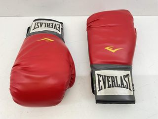 otros accesorios boxeo everlast 12 oz