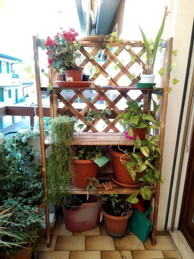 Scaffale Porta Piante da Esterno a 3 Ripiani in Le