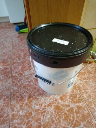 Bote pintura interior 15 kg plástica