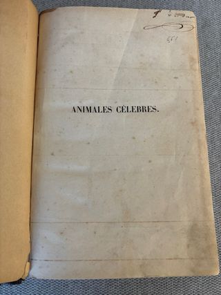Animales Celebres - Jose de Castro y Serrano -1858