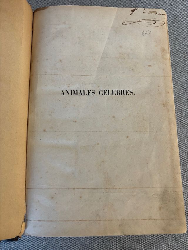 Animales Celebres - Jose de Castro y Serrano -1858