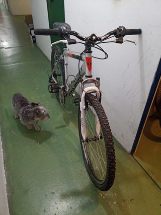 Bicicleta Connor 5400 Talla S,Poco Uso