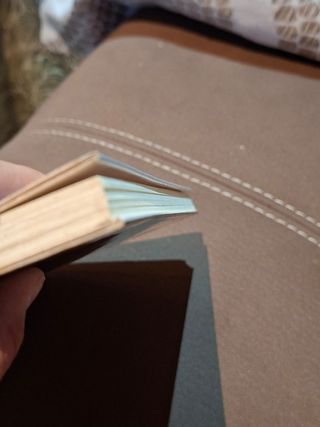 La vida me persigue: (X premio Surcos de poesía...