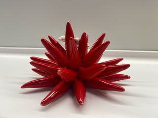 Riccio di mare ceramica rossa con stella marina bi