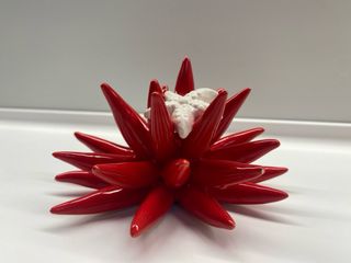 Riccio di mare ceramica rossa con stella marina bi