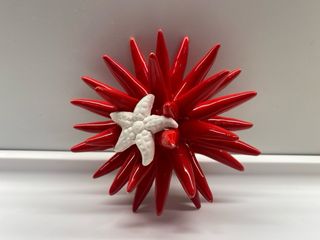 Riccio di mare ceramica rossa con stella marina bi