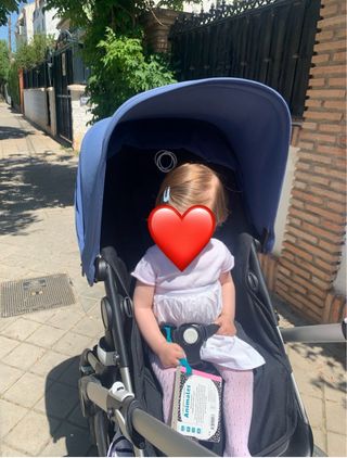 Bugaboo Fox Carro + Capazo + complementos. 