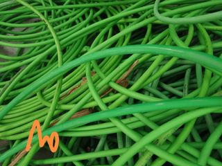 Cavo elettrico verde 10 metri