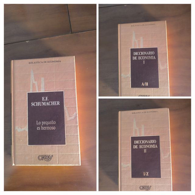 Lote 3 libros economia