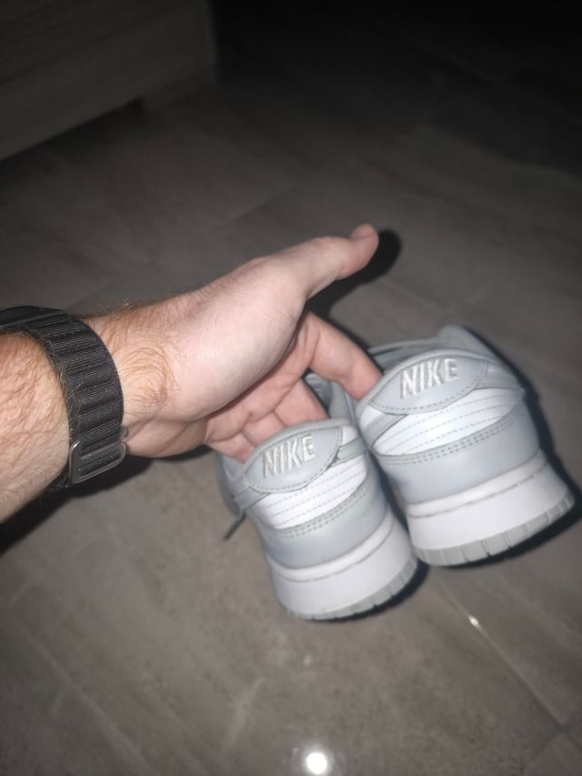 Nike Dunk Grigie e Bianche