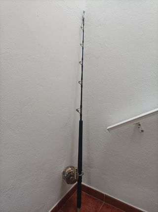 caña y carrete Daiwa currican