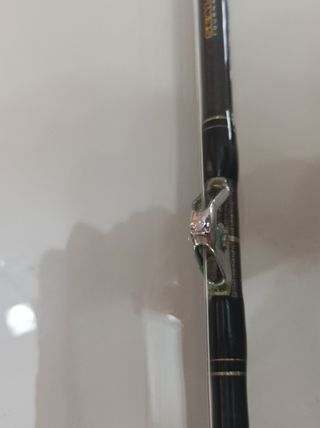 caña y carrete Daiwa currican