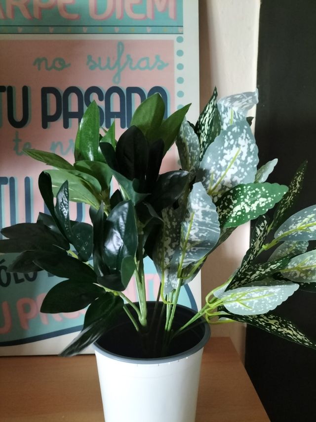 2 PLANTAS ARTIFICIALES DECORATIVAS POR SÓLO 6€