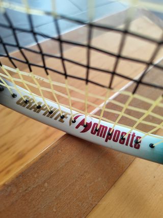 Raqueta Prince Avenger + funda