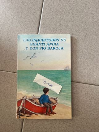 Las inquietudes de Shanti Andia