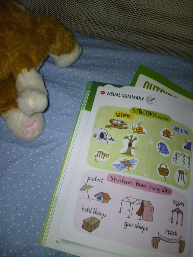 Natural Science 2 Outside the Box Sb Pk