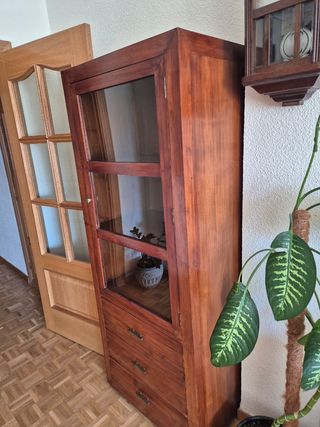 Vitrina Banak Madera Teca