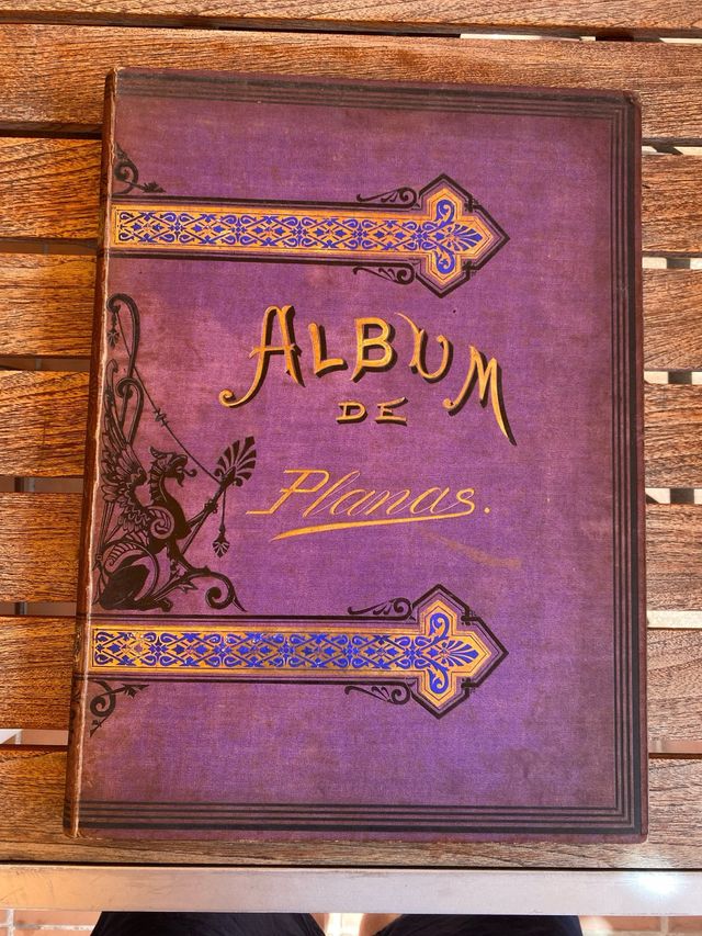 Álbum 50 litografías (1880) HISTORIA DE UNA MUJER