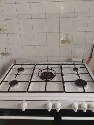 Cocina de gas 5 fuegos con horno