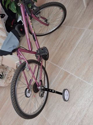 Ruedines Bicicleta Montaña