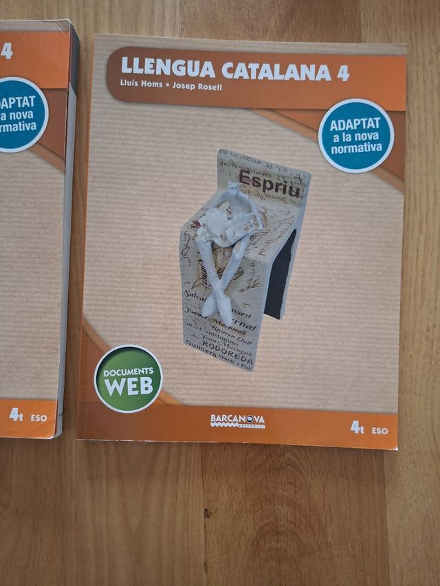 Llengua catalana 4t ESO. <Continguts i activitats>