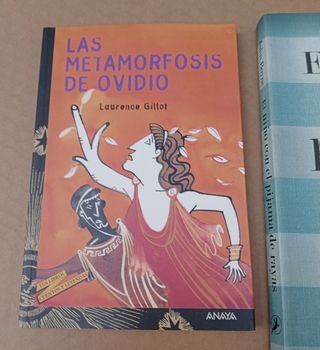 Lote libros, ficción