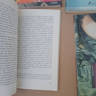 Lote libros, ficción