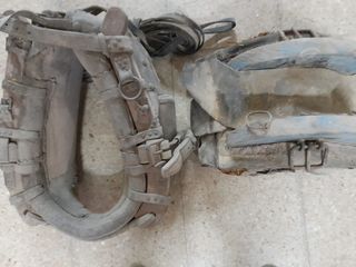 Arreos para mulos o caballos.