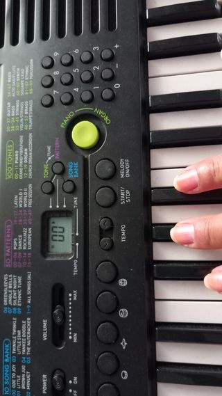 Órgano Piano Eléctrico Casio