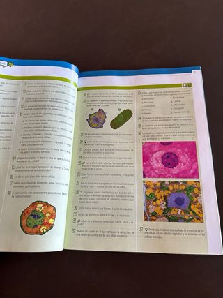 Biología y Geología 4.º ESO - (Dos Volumenes)