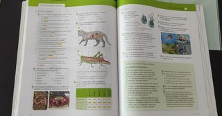 Biología Y Geología, 1 Eso. con cuadernillo