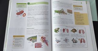 Biología Y Geología, 1 Eso. con cuadernillo