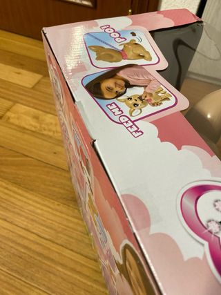 Perro Chihuahua de Juguete para pasear