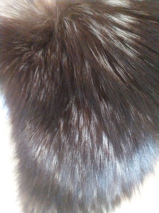 Elegante cuello de zorro plateado